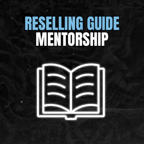 RESELLING GUIDE MENTORSHIP VIP